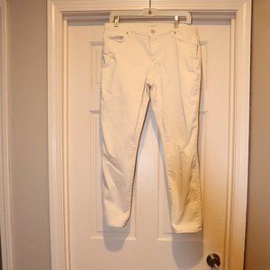 LOFT Women's Straight Leg Cream Jeans